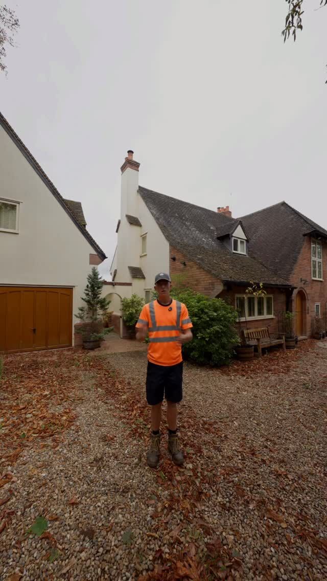 New project started in Solihull, a lot bigger than what we’re used to but we are super excited to get our teeth stuck into this one and start seeing some great results. Join us back in a few weeks to see how we get it looking.
#stripenation #pig #satisfying #satisfyingvideo #mowing #sun #hedge #hedgecutting