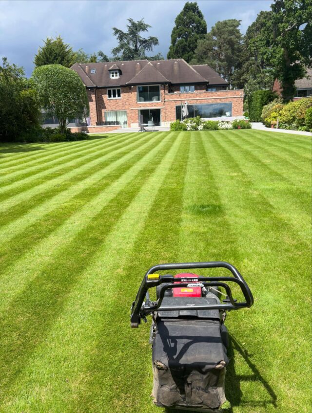 Nice stripes and a new mower. A good week at PIG maintenance 🙌