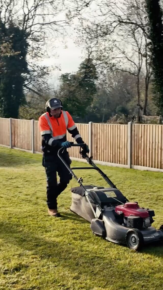 Join us on a couple of lawns on a glorious Thursday morning, we cover all of Solihull so if you want to show a bit of pride in your garden please get in touch. #mowing #stripenation #garden #satisfyingvideo #pig #lawn #lawncare